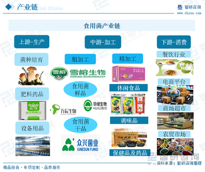 2022年中国食用菌行业全景速览:加快食用菌工厂化进程,进一步提高行业集中度[图]